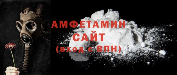 индика Дмитровск