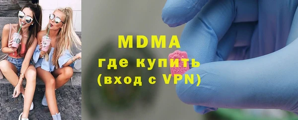 индика Дмитровск