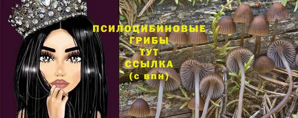 круглые Дмитров