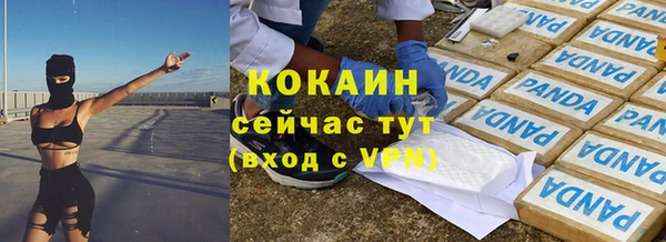 гидра Гусев
