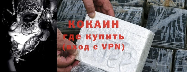 ПСИЛОЦИБИНОВЫЕ ГРИБЫ Гусь-Хрустальный