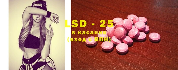 индика Дмитровск