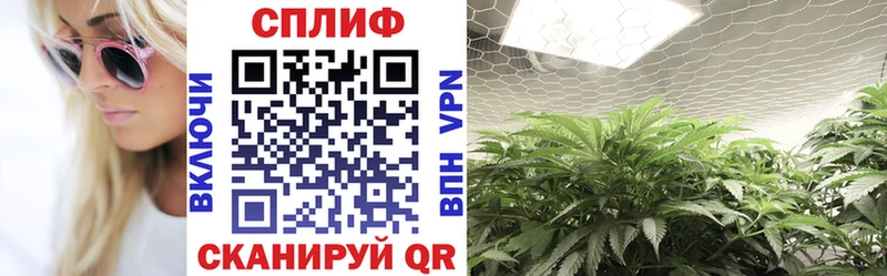 Канабис VHQ  Донецк 
